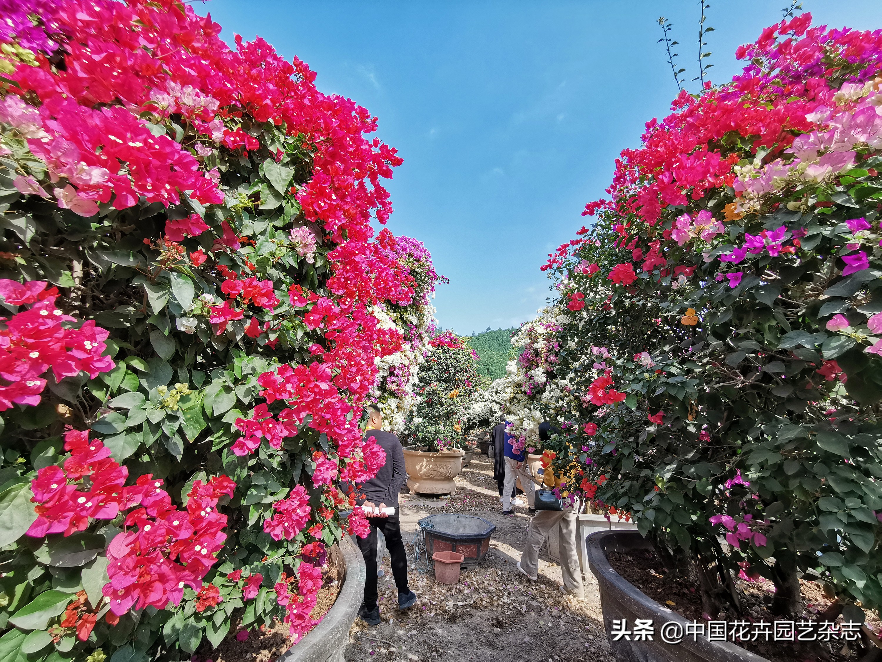 为两大产业率先突破注入鲜活动力,为经济发展注入新动力新活力