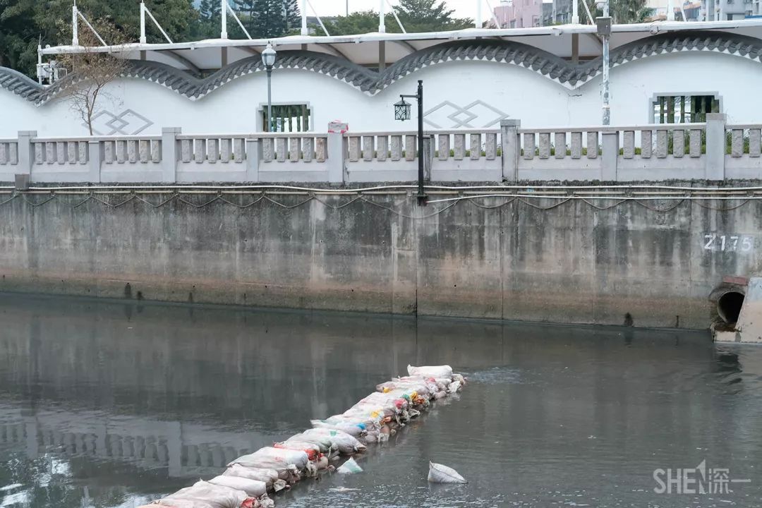 别总去大沙河了！深圳这条极少有人知道的河流，更神秘