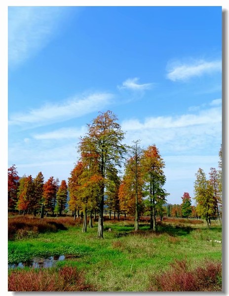 余姚四明湖开元山庄,余姚四明湖开元山庄自驾游