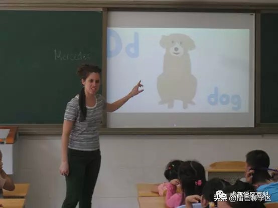 大源片区小学排名,高新区大源片区学校排名