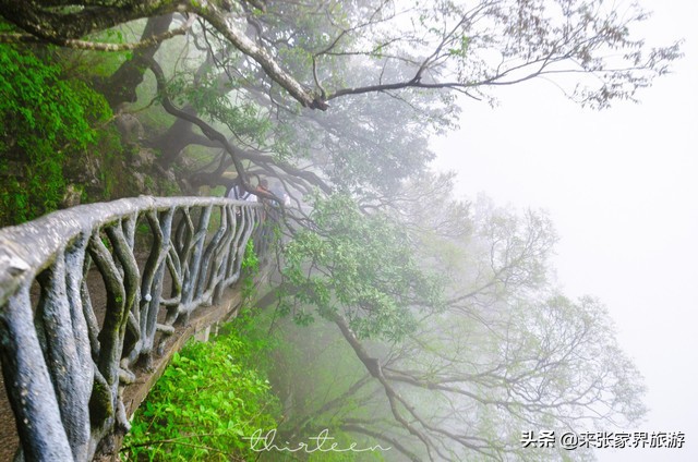 大美张家界之天门山狐仙,张家界旅游天门狐仙值得看吗