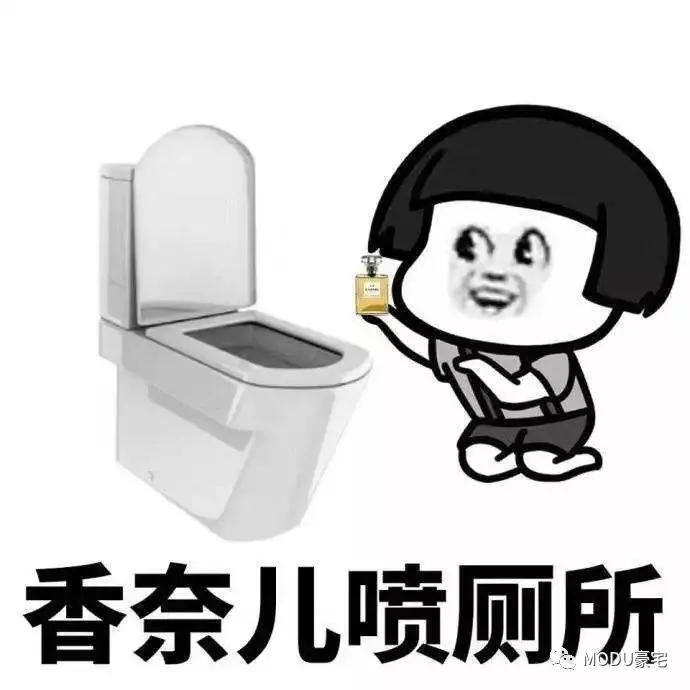 住汤臣一品是怎么样的体验,住在汤臣一品里面人开什么车