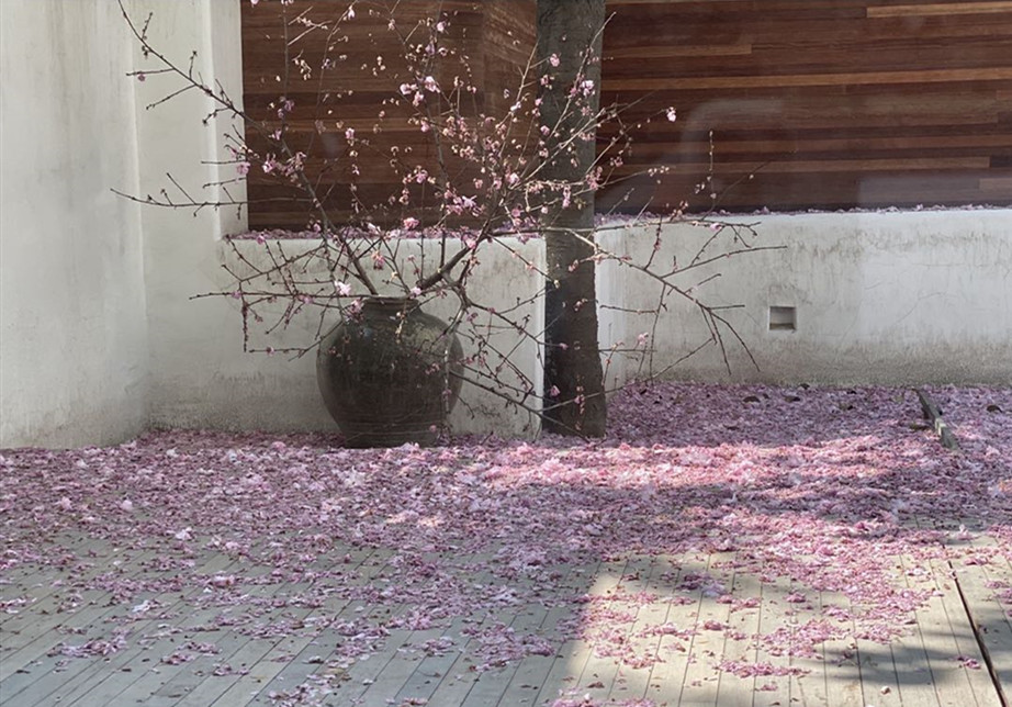 这对夫妇的家，用上海老洋房的地板铺浴缸，用石英砂做“茅厕”