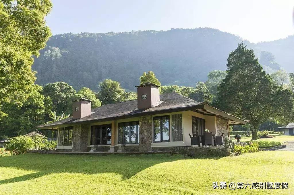 小s徐熙娣最新广告,小s徐熙娣走秀头发遮脸