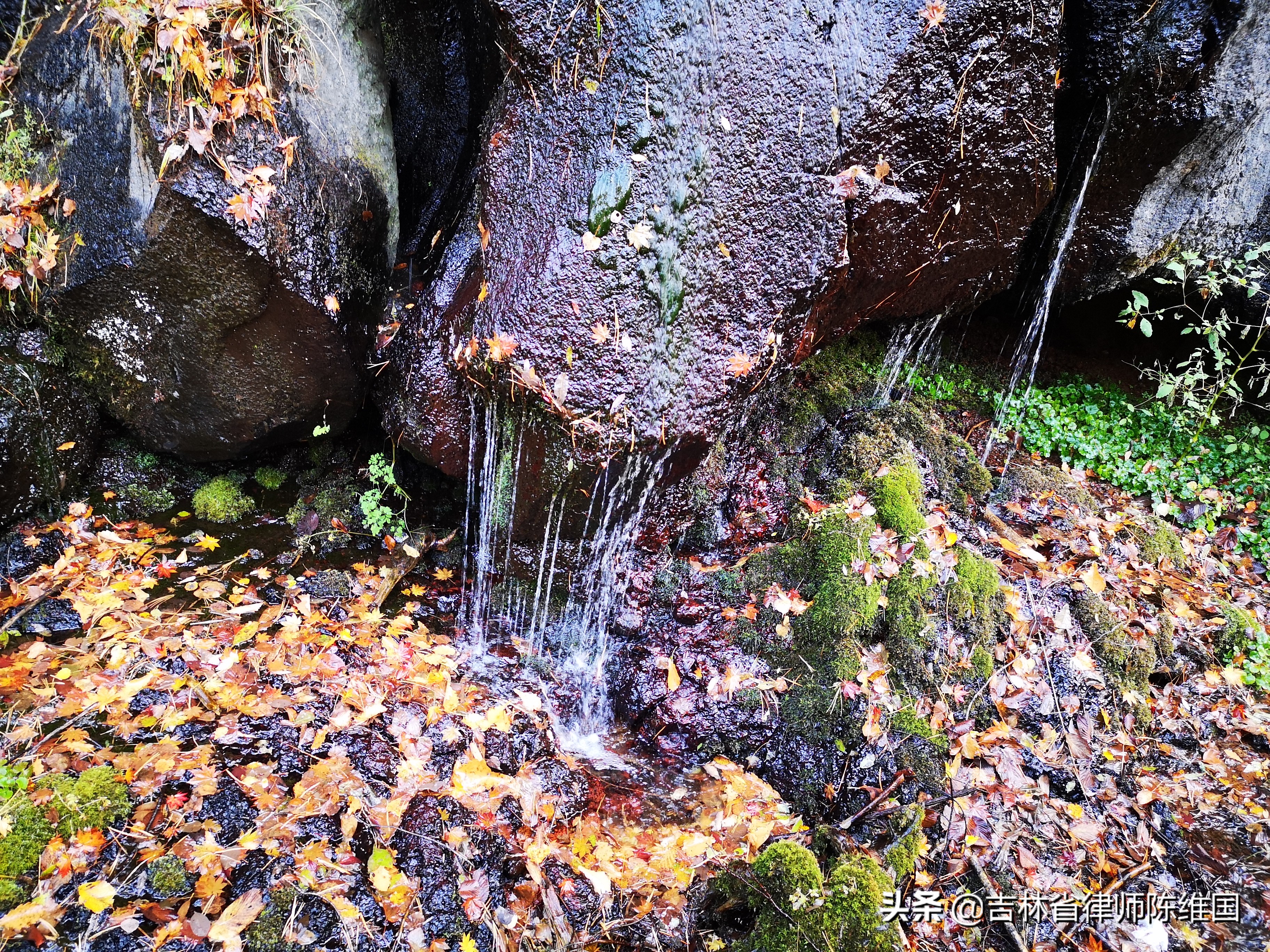 奇石碧水望天鹅－国庆游记之三