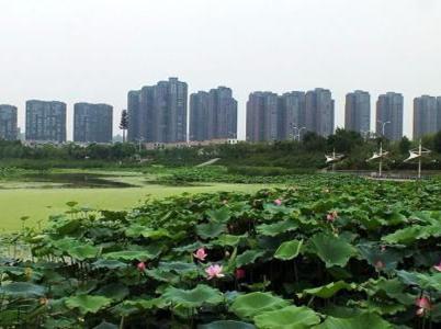 浐灞一号一期,浐灞一号资料