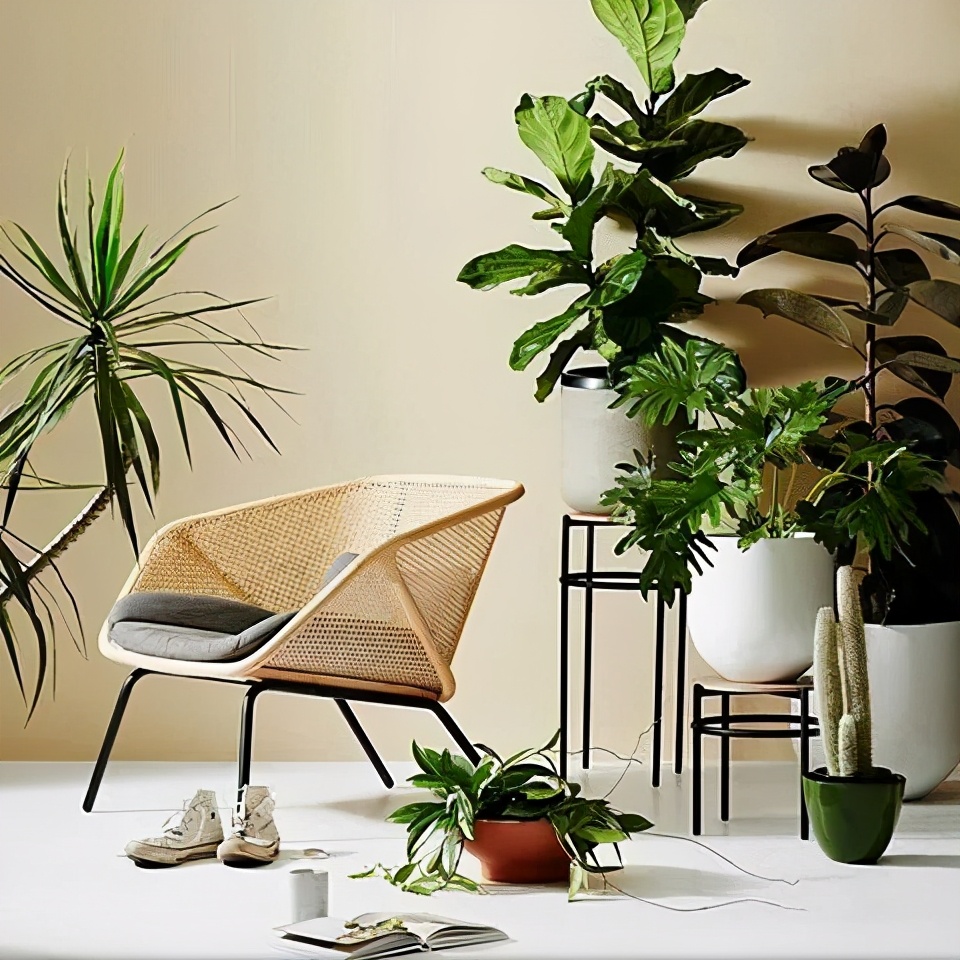 原木风打造,法式复古藤编椅