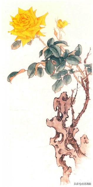 国画月季画法视频教程,工笔月季枝干的画法