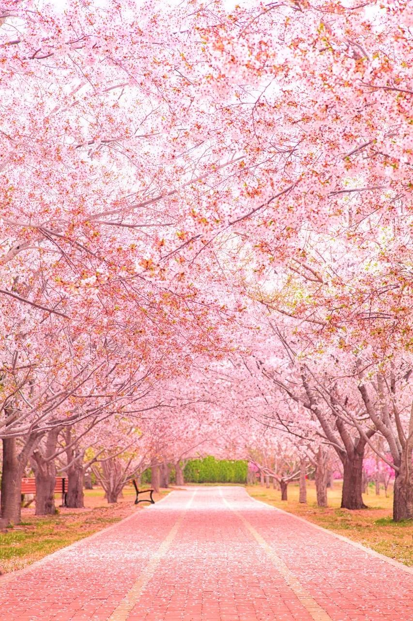 美过三亚！比厦门浪漫！中国这座海滨老城，去一次相当于环游世界