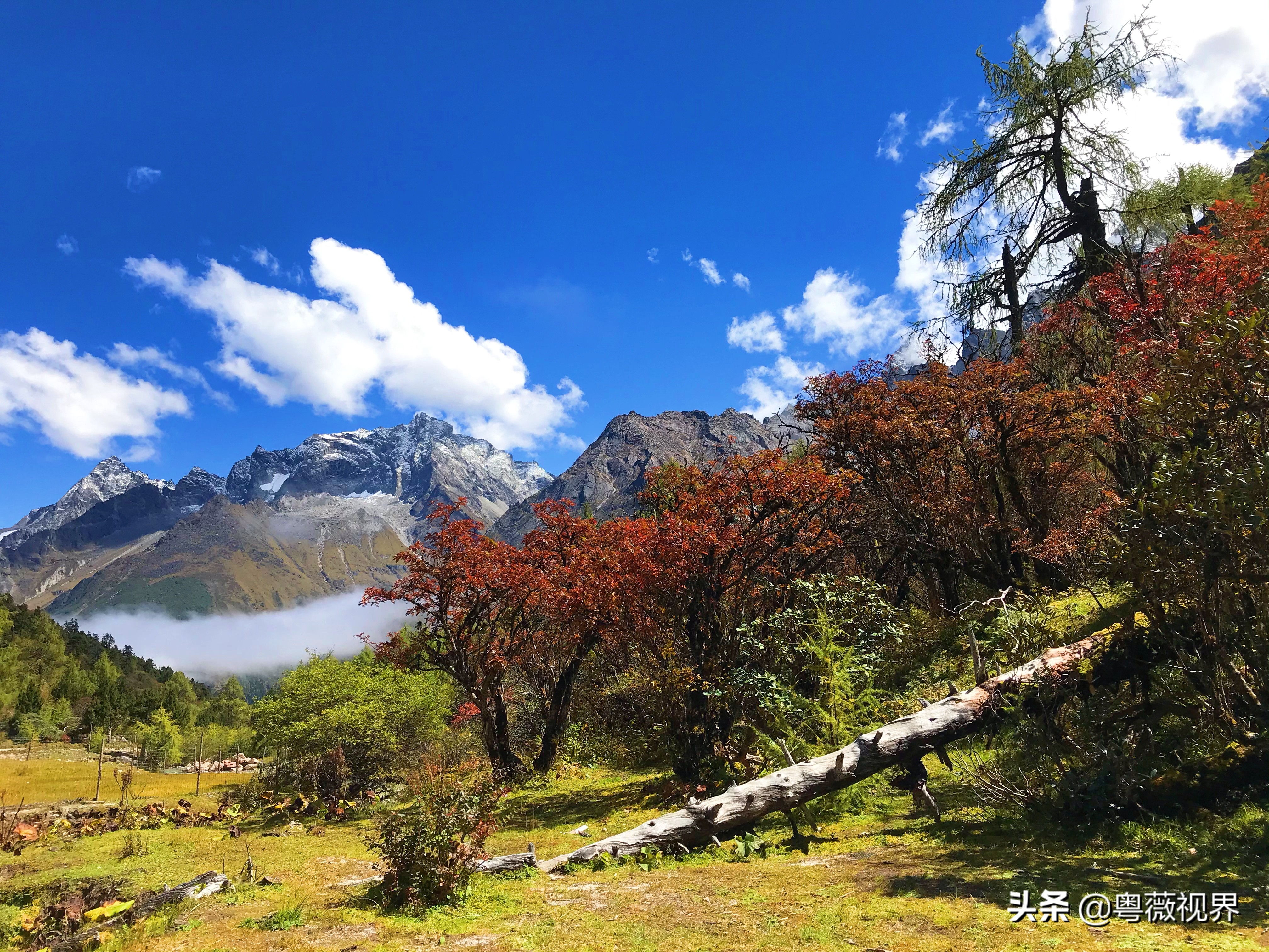 川藏自驾游走国道好还是走高速好 (g317国道川藏北线)