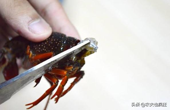 小龙虾怎么清洗最简单的方法,清洗小龙虾的简单正确方法
