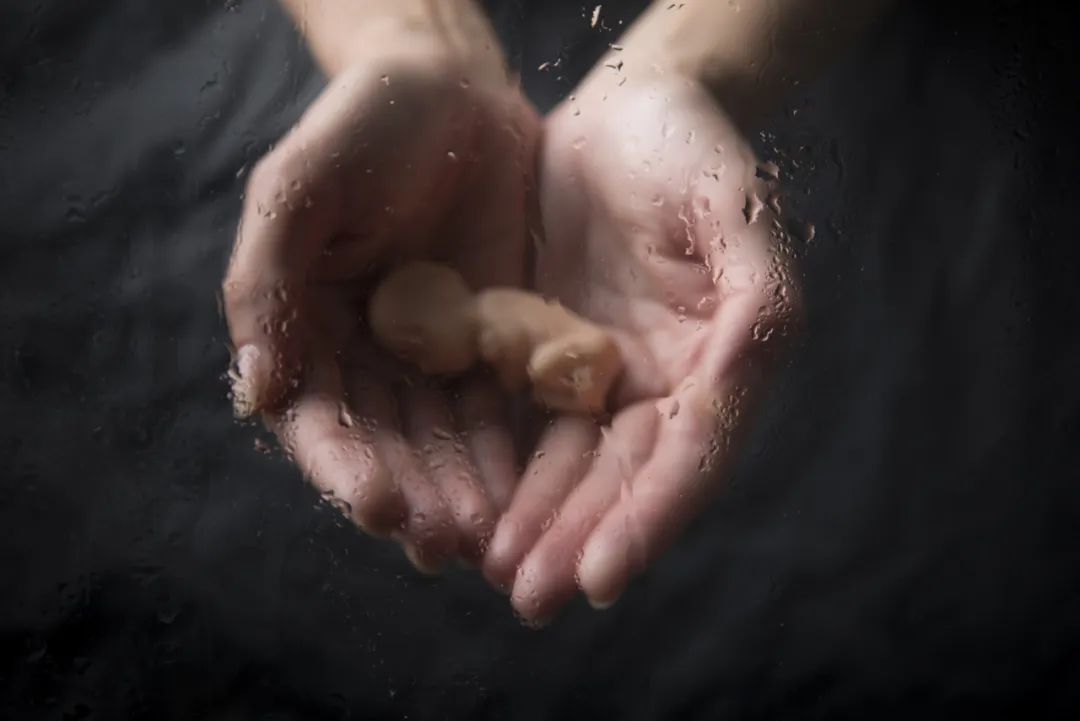 把生娃视频放上网，一个女权博主的硬核生育|成为母亲