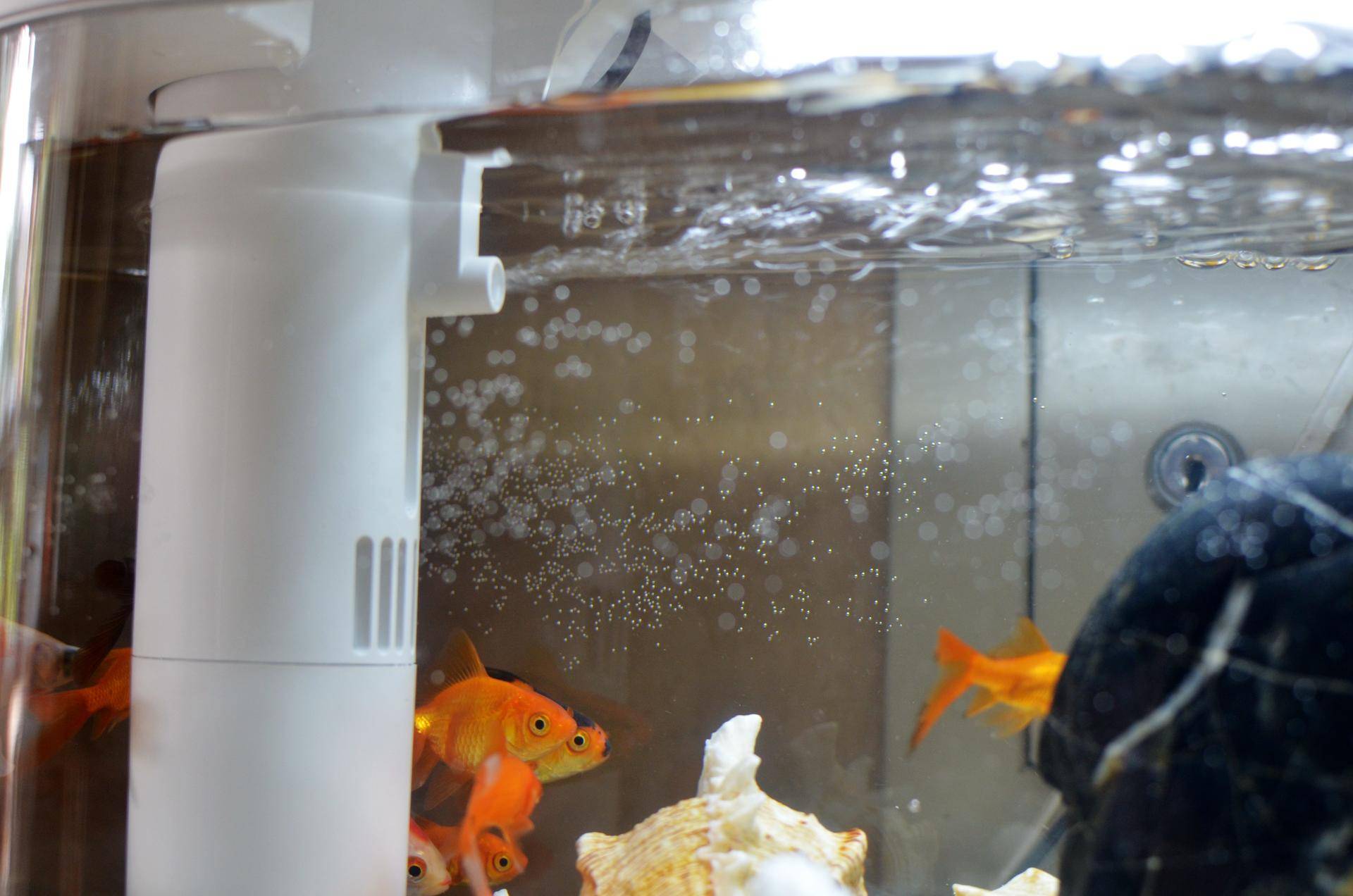 懒人鱼缸养鱼,懒人能养鱼吗