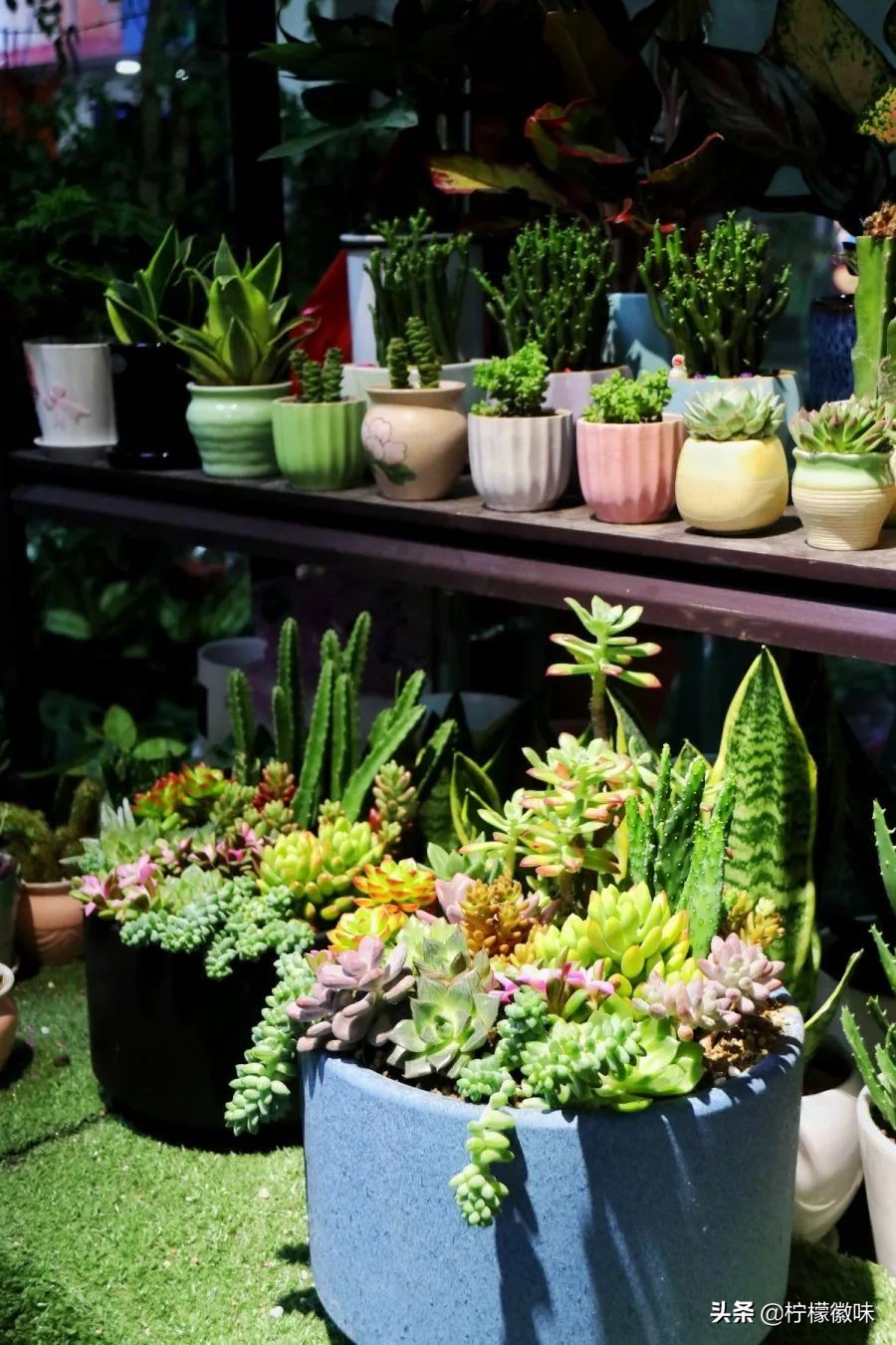 <html>
<head><title>502BadGateway</title></head>
<body>
<center><h1>502BadGateway</h1></center>
<hr><center>nginx</center>
</body>
</html>
<!--apaddingtodisableMSIEandChromefriendlyerrorpage-->
<!--apaddingtodisableMSIEandChromefriendlyerrorpage-->
<!--apaddingtodisableMSIEandChromefriendlyerrorpage-->
<!--apaddingtodisableMSIEandChromefriendlyerrorpage-->
<!--apaddingtodisableMSIEandChromefriendlyerrorpage-->
<!--apaddingtodisableMSIEandChromefriendlyerrorpage-->
