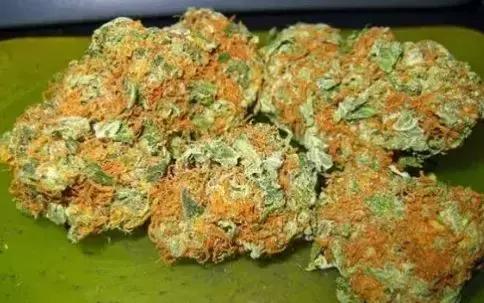 化学中的神奇物质,最神奇的化学物质