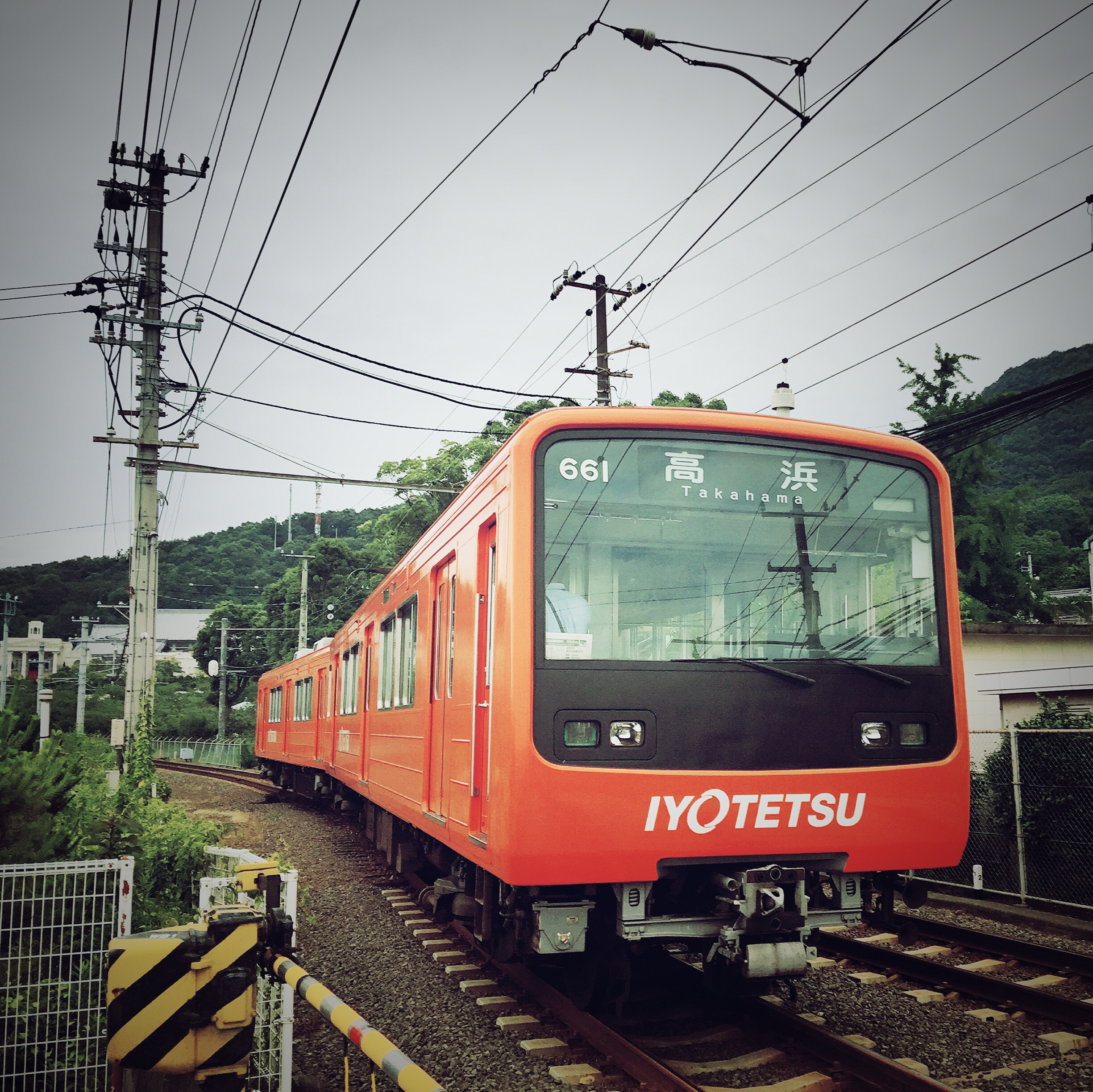 日本能穷游吗,日本旅游可以自由行吗现在