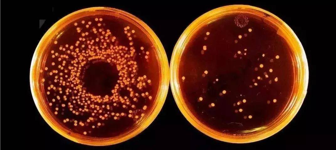 真的想不到,家里的洗衣机竟然是个病毒罐罐!一定要注意