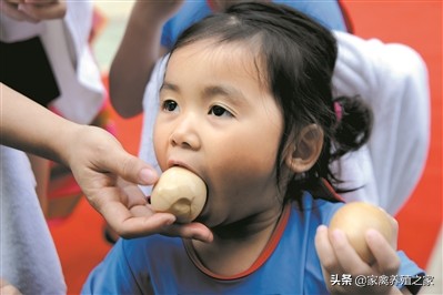 销售土鸡的正宗方法,卖一个土鸡一年赚多少钱