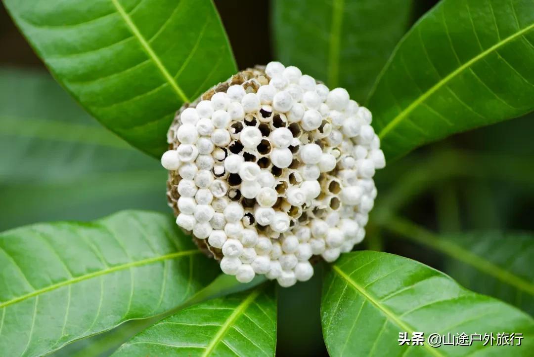 户外爬山三大忌讳,户外有风险爬山需谨慎量力而行