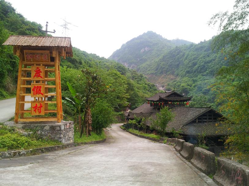 马云预言下一个农村致富风口,马云谈风口风来了猪都会飞