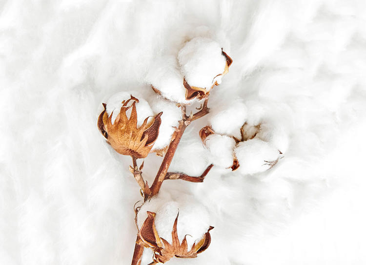 夏天适合什么样的被子和床单,夏天睡什么床品好