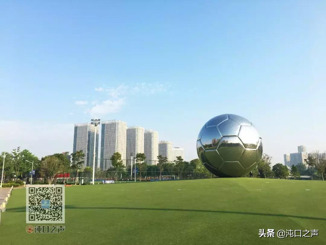 武汉卓尔足球公园,武汉王家墩足球公园