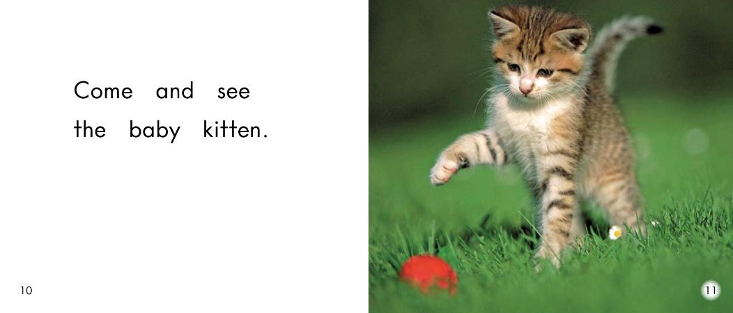 儿童绘本小动物睡前故事,动物宝宝有声绘本推荐0-3岁读绘本