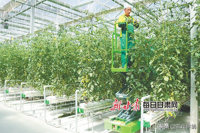 兰州最美发展底色,兰州的生态文明建设的成果