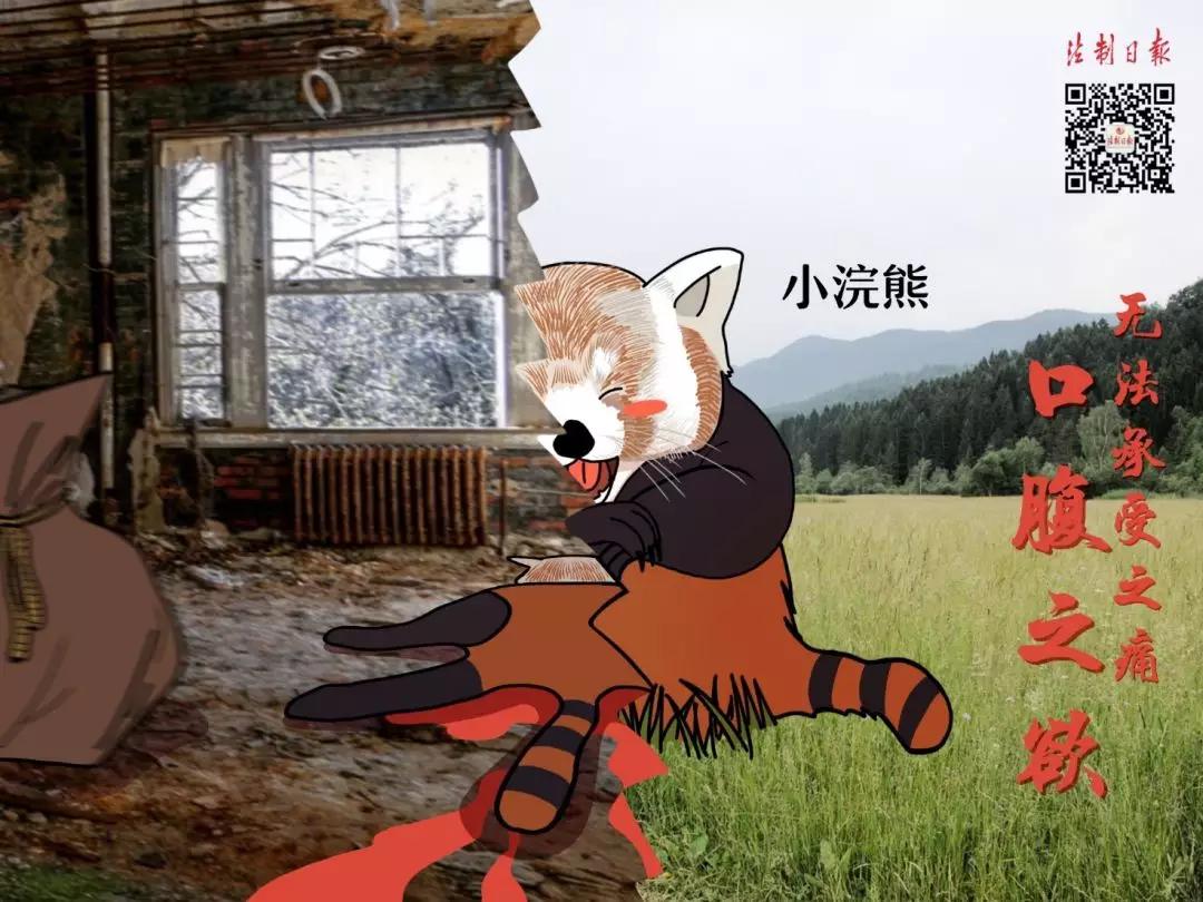 拒绝野味漫画图片,敬畏自然拒绝野味漫画