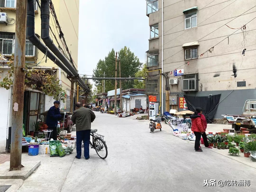 工资3000，还贷5000，淄博人的新老城区大pk，你会站哪边？