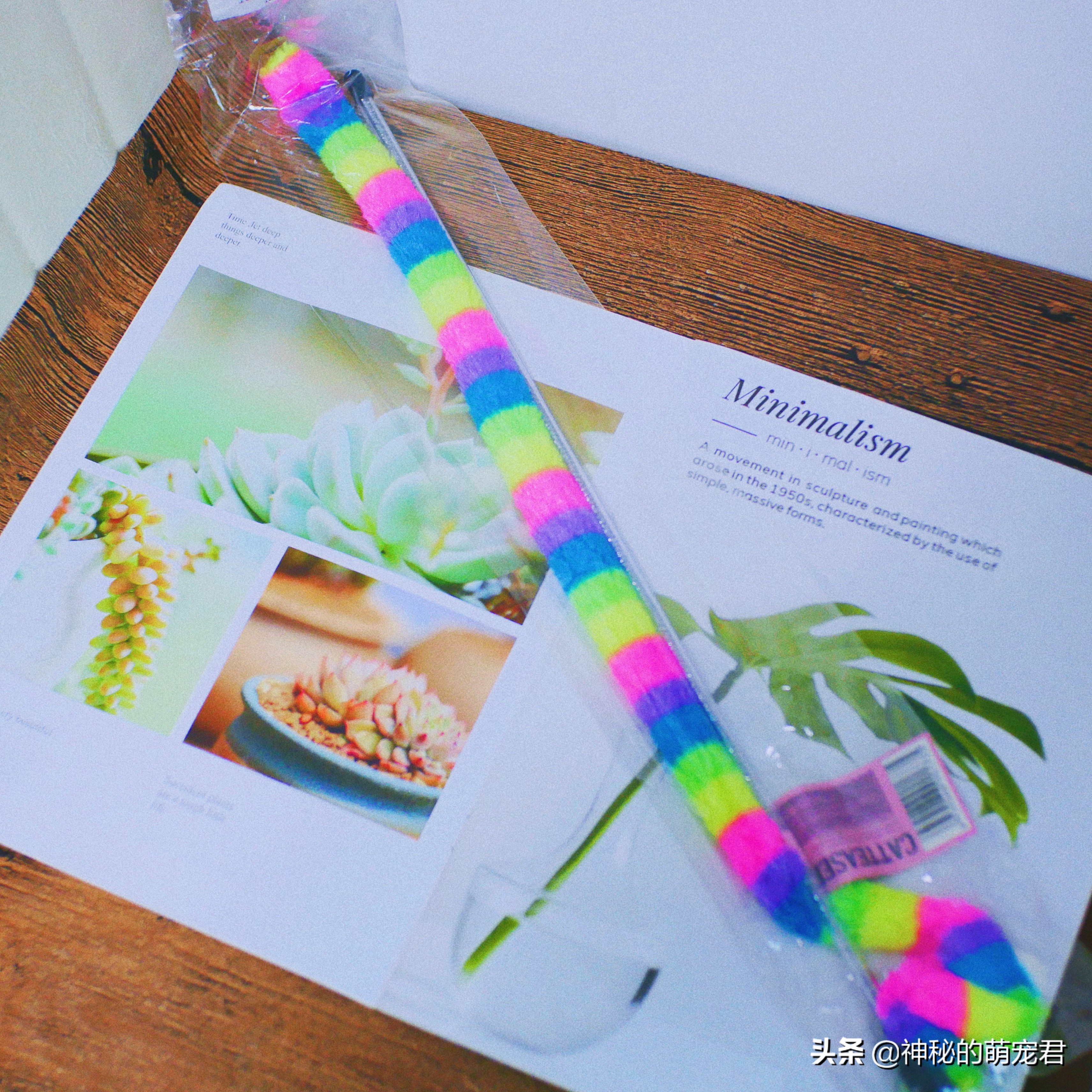 什么逗猫棒猫咪会玩,怎么做猫咪玩的逗猫棒