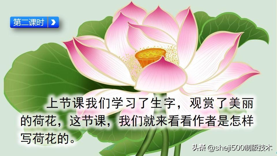 部编版三年级下册语文3荷花讲解,三年级下册部编语文荷花教学视频