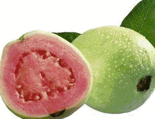 快收藏！海南水果图鉴～认准了，吃它