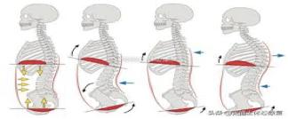 颈肩和腰痛的自我诊断,肩颈腰痛怎么引起的