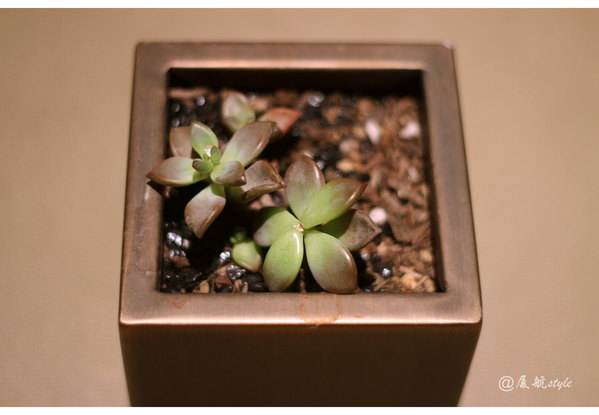 韩国美丽的六星级酒店,韩国最好的酒店是哪个品牌