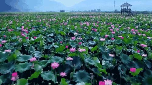 武夷山为啥名气不大,武夷山还好吗