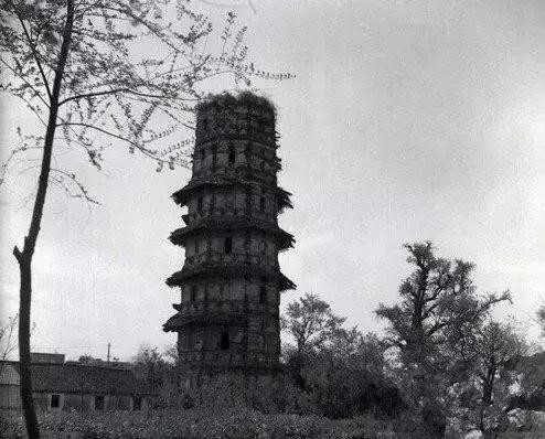 绝密照片还原百年嘉兴的真实面目,绝密照片还原百年台州