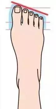 100元和500元的高跟鞋,100元的鞋和500元的鞋差距