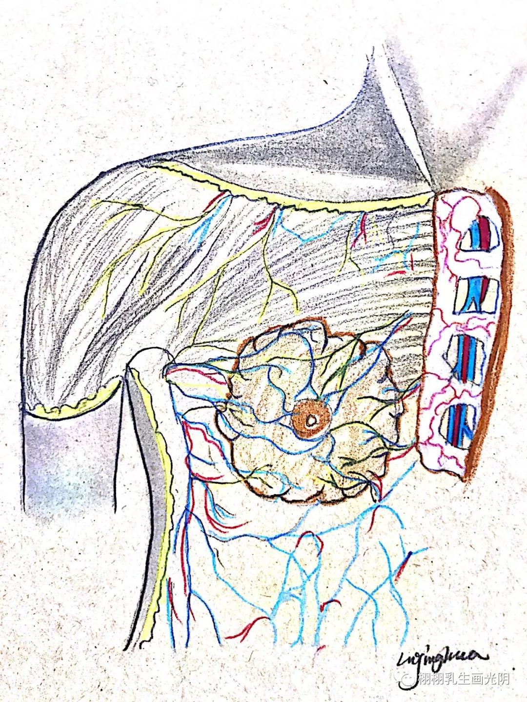 最贵的房子内部,最贵的房子内部图片