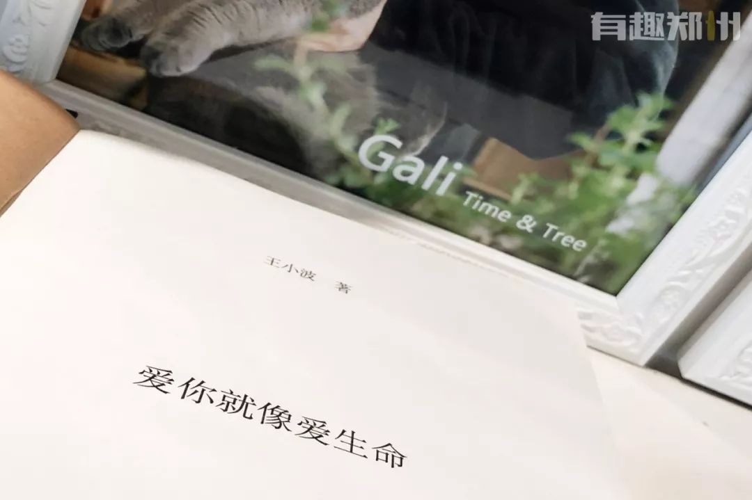 2020年有创意的台历,2020年比较有创意的台历