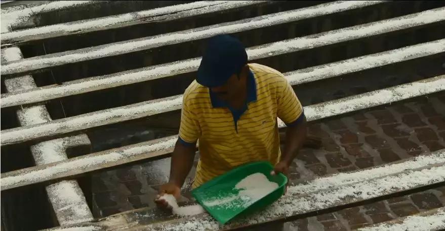 这部BBC纪录片一开播就拿下9.5高分，除了美更培养了孩子的世界观