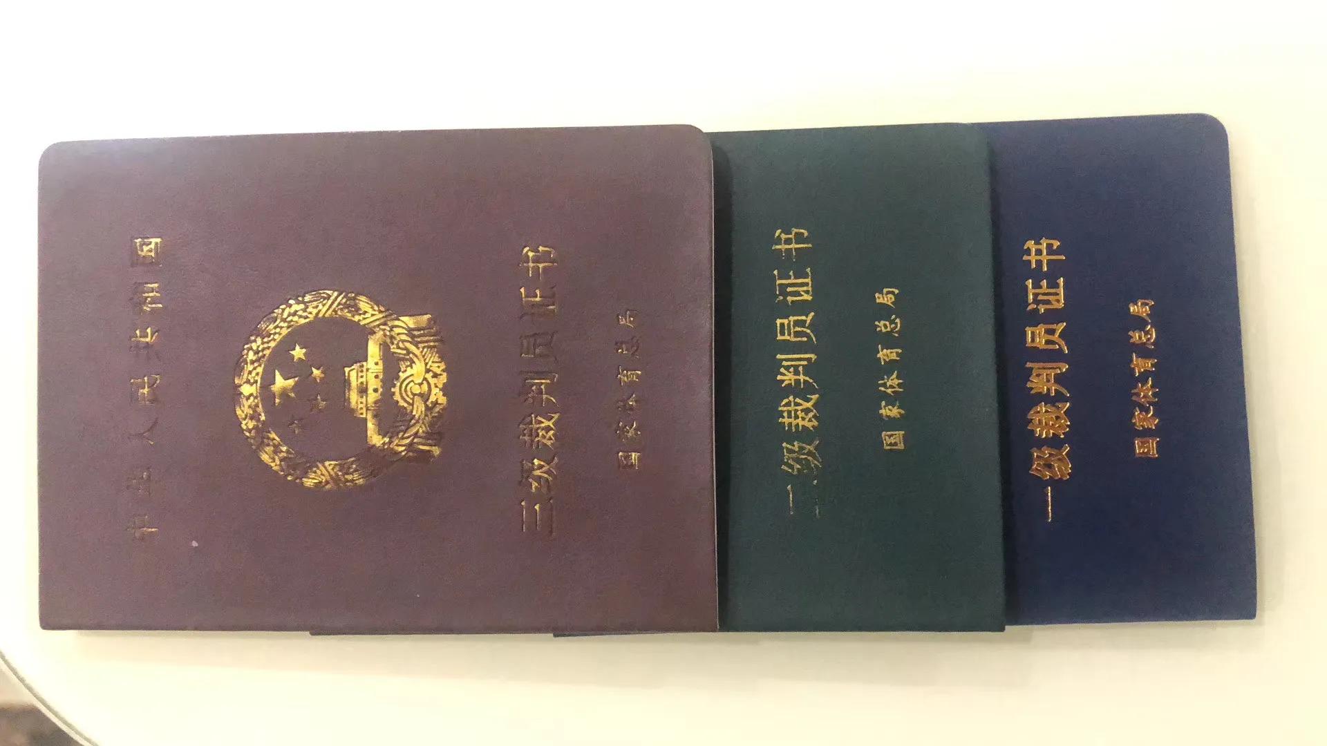 篮球一级裁判员是什么水平,中国篮球国际级裁判员名单