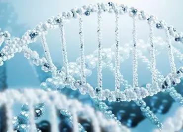 牛初乳冻干粉的功效与作用,免疫球蛋白牛初乳冻干粉的功效