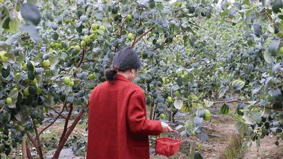 38抢从化宝趣玫瑰世界1大1小票赏春赏花赏美景不负*光春**不负卿