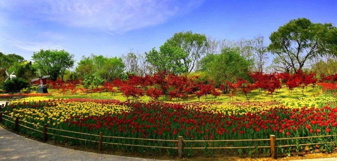 济南市a级景区一览表,山东济南5a景区