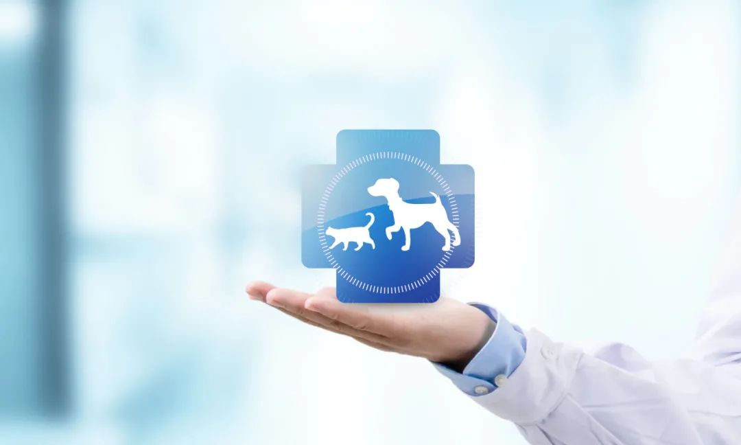 狗：我一次恋爱都没谈，居然得了这种病