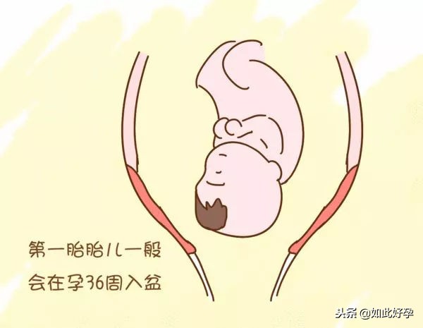 临近预产期胎儿不入盆是什么原因,预产期已到胎儿不入盆怎么回事