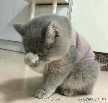 天秤女极难挽回,天秤女有恃无恐