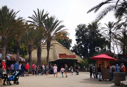 长隆旅游细节分析,长隆有必要四个乐园都玩吗