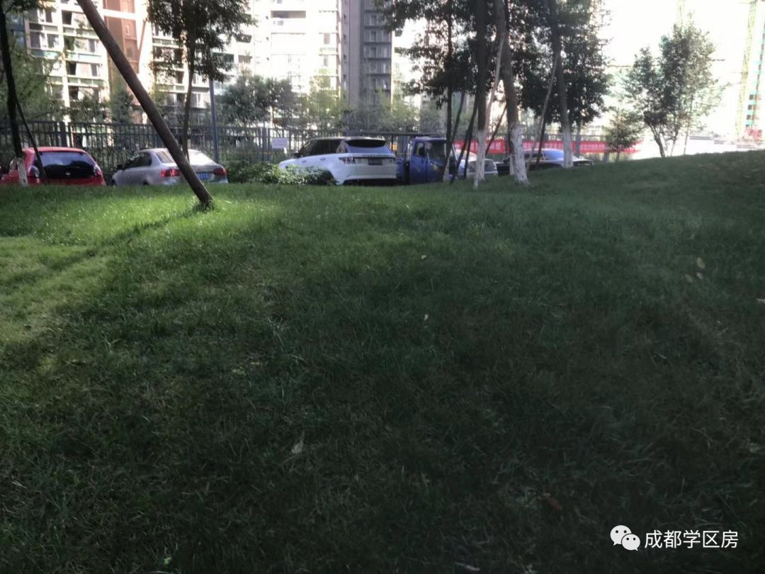 天府新区好的学区房有哪些,天府新区小学排名及周边楼盘